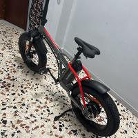 Bicicletta elettrica
