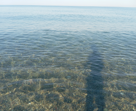 Dal 14 settembre bilocale 400 MT mare Animali Ok