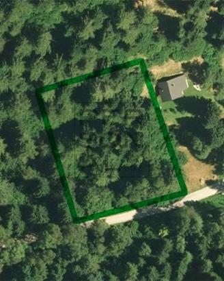 Terreno Edificabile - Pieve Tesino