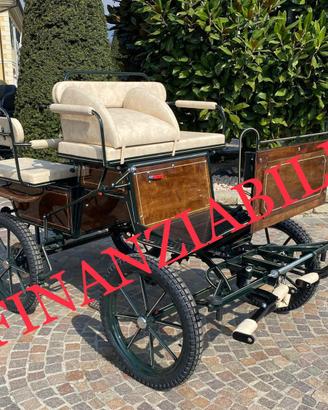 Carrozza per cavalli wagonet per doppio pony