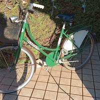 Bicicletta 24' e bici 28