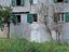 Immagine 11