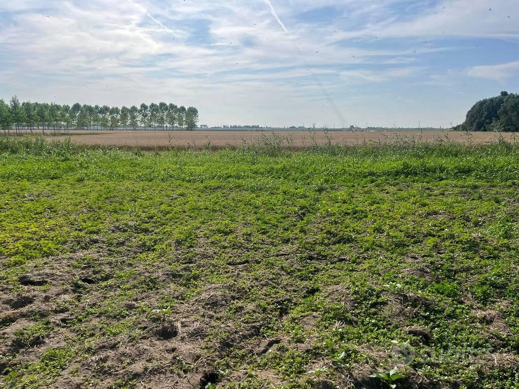 Terreno di 8500 m² a Codigoro - Altro