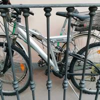 Biciclette (1 mountain bike e 1 bici da passeggio)