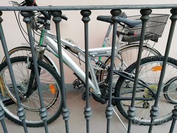Biciclette (1 mountain bike e 1 bici da passeggio)