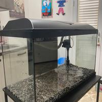 Acquario 60LT