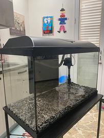 Acquario 60LT
