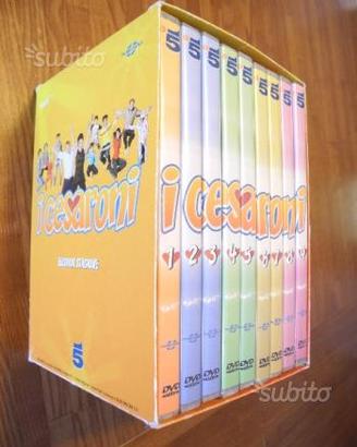 Raccolta fiction "cesaroni"