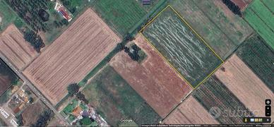 Terreno agricolo Ha 1.5