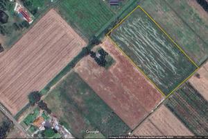 Terreno agricolo Ha 1.5