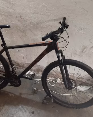 Mountain bike xeris 29