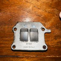 Collettore malossi e pacco lamellare malossi