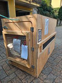 trasporto cani gabbia in legno 