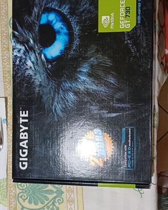 Gpu geforce  730 gt 2 giga