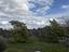 Immagine 25