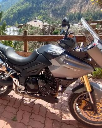 Triumph Tiger 1050 SE ABS 