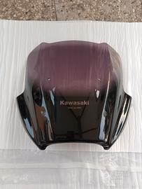 Cupolino Kawasaki Versys 650