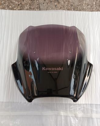 Cupolino Kawasaki Versys 650