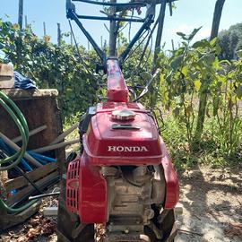 Motozappa Honda F560