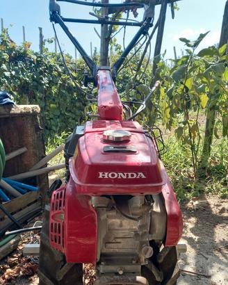 Motozappa Honda F560