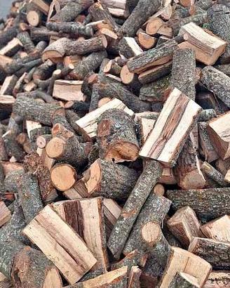 legna da ardere secca