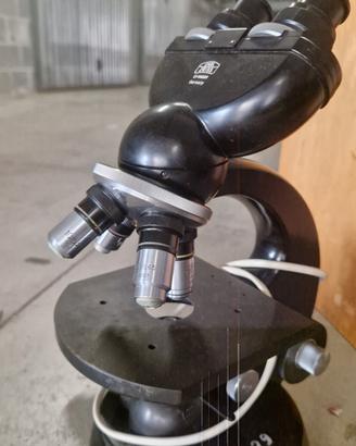 Microscopio Carl Zeiss Germany Binoculare Original