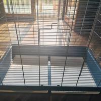 Gabbia adatta per calopsitte