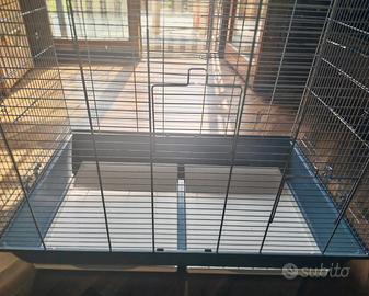 Gabbia adatta per calopsitte