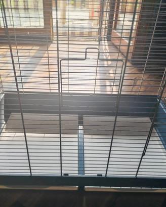 Gabbia adatta per calopsitte