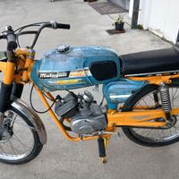 un buon consevato anni 71 stesino