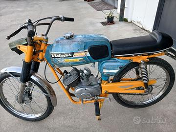 un buon consevato anni 71 stesino