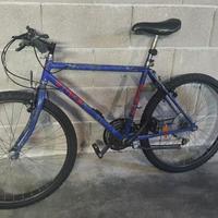 Bicicletta mountain bike