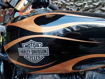 Sportster Custom - PERFETTA IN TUTTO