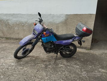 Xt 600