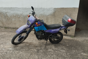 Xt 600