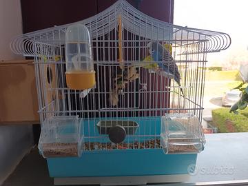 gabbia per uccellini