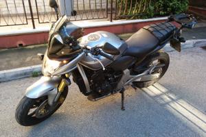 Honda Hornet 600