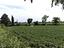 Immagine 8