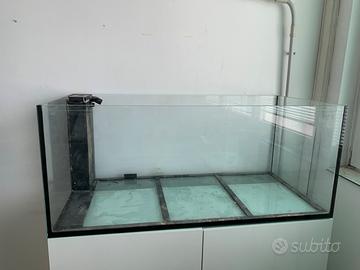 Acquario elos