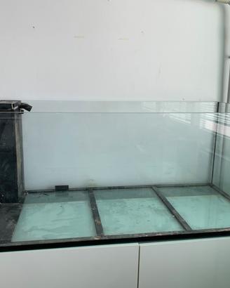 Acquario elos