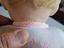 Immagine 6