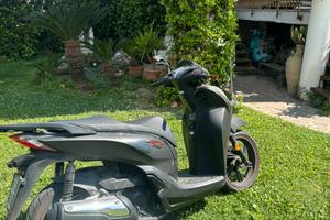 Sh 300 sport