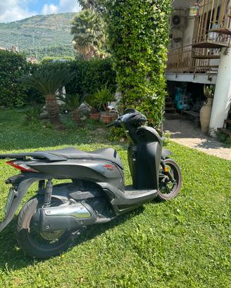 Sh 300 sport