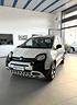 fiat-panda-1-0-hybrid-gpl-city-cross