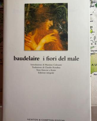 Libro I grandi dell’800