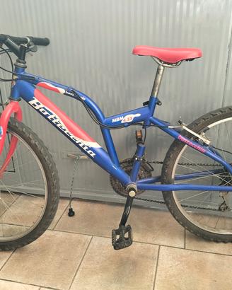 MTB Bottecchia 24 pollici