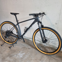 Mtb in carbonio