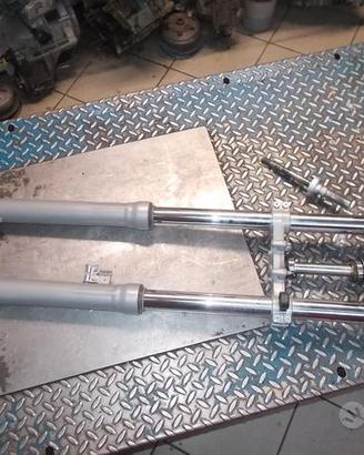 HM CRE 50 2012 : forcella Paioli 40