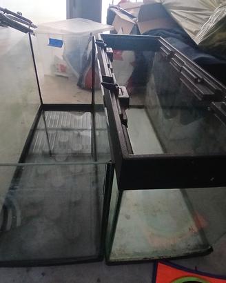 Acquario 80 litri