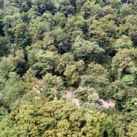 Terreno Agricolo a Brienno